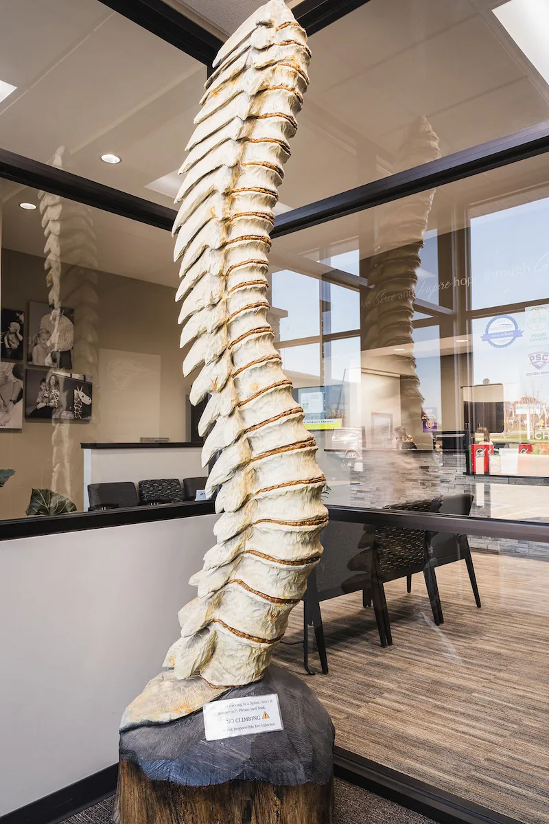 Giant realistic spine art at Wayson Family Chiropractic