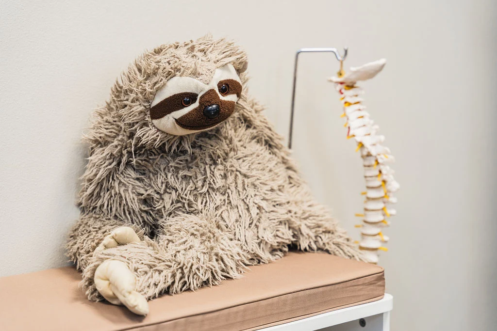 Giant sloth stuffed animal sitting on desk at Wayson Family Chiropractic