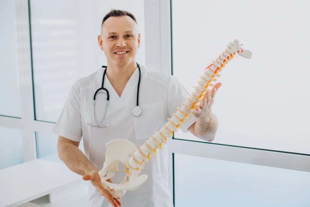 Chiropractor explaining spine model to male patient